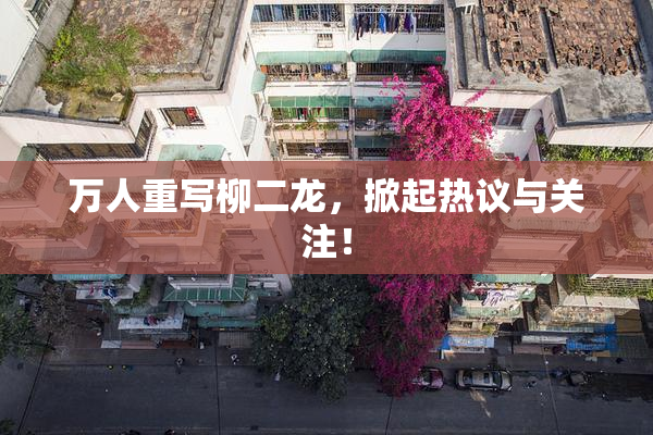 万人重写柳二龙，掀起热议与关注！