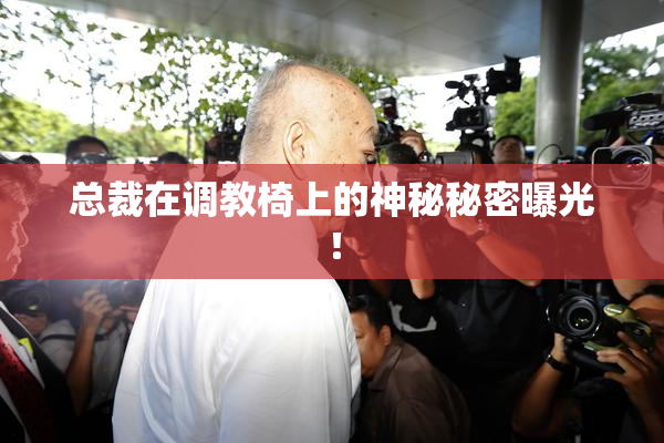总裁在调教椅上的神秘秘密曝光！