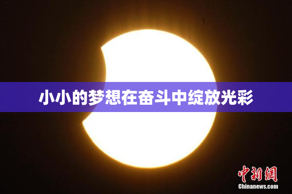 小小的梦想在奋斗中绽放光彩