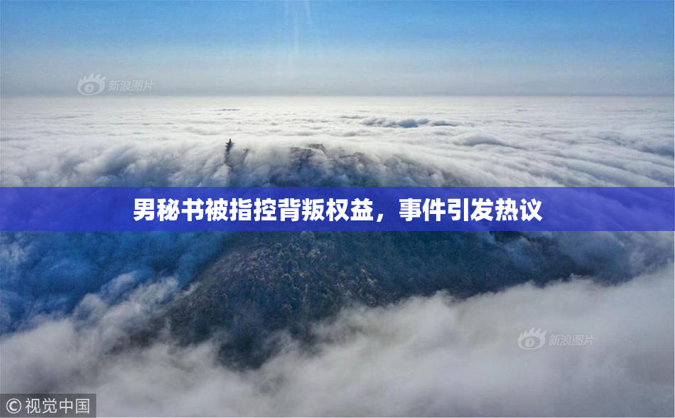 男秘书被指控背叛权益，事件引发热议