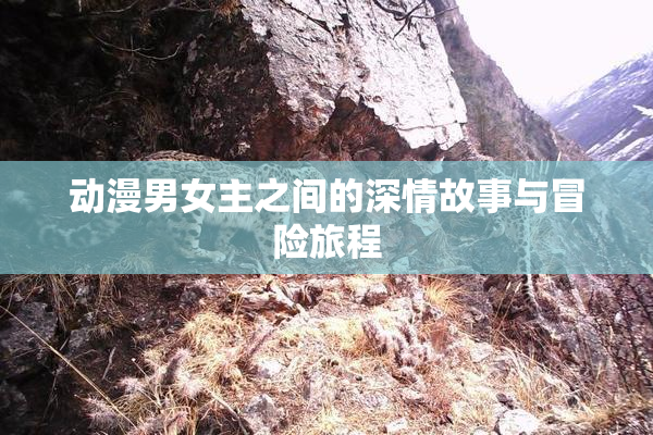 动漫男女主之间的深情故事与冒险旅程