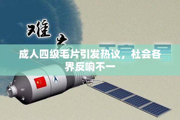 成人四级毛片引发热议，社会各界反响不一