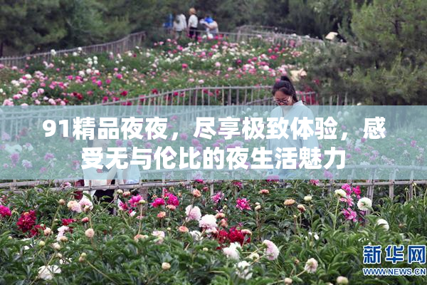91精品夜夜，尽享极致体验，感受无与伦比的夜生活魅力