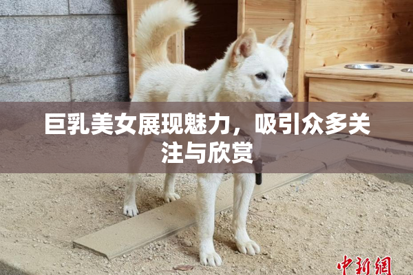 巨乳美女展现魅力，吸引众多关注与欣赏