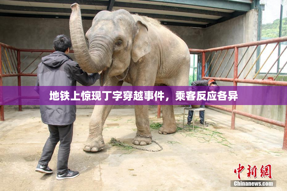 地铁上惊现丁字穿越事件，乘客反应各异