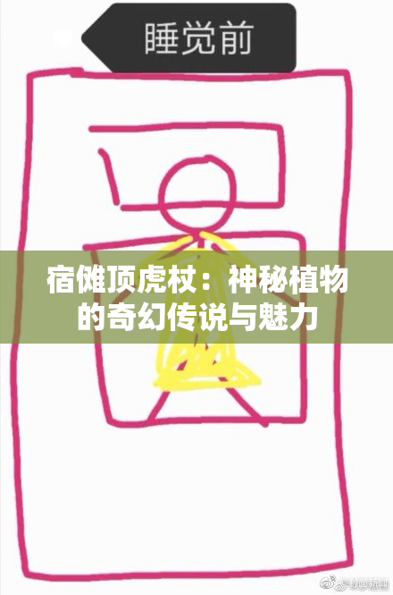 宿傩顶虎杖：神秘植物的奇幻传说与魅力