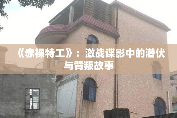 《赤裸特工》：激战谍影中的潜伏与背叛故事