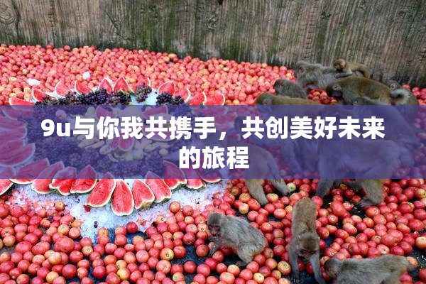 9u与你我共携手，共创美好未来的旅程