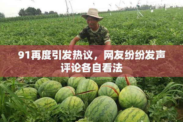 91再度引发热议，网友纷纷发声评论各自看法