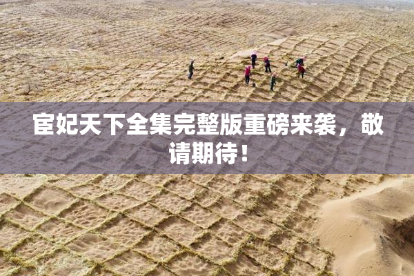 宦妃天下全集完整版重磅来袭，敬请期待！