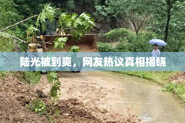 陆光被到爽，网友热议真相揭晓