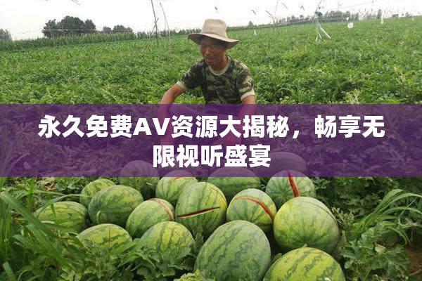 永久免费AV资源大揭秘，畅享无限视听盛宴