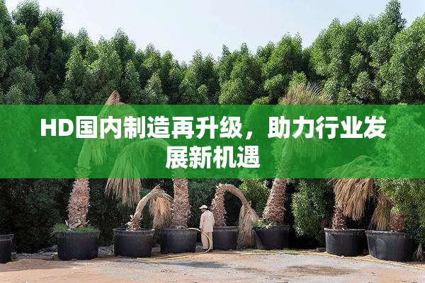 HD国内制造再升级，助力行业发展新机遇