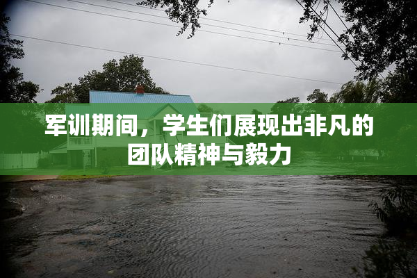 军训期间，学生们展现出非凡的团队精神与毅力