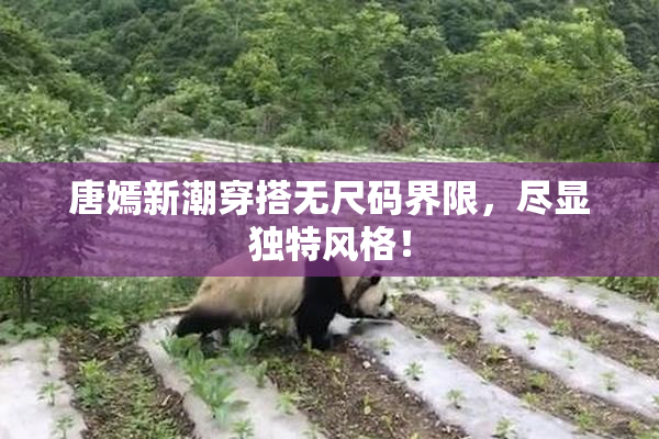 唐嫣新潮穿搭无尺码界限，尽显独特风格！