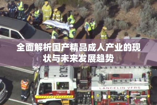 全面解析国产精品成人产业的现状与未来发展趋势
