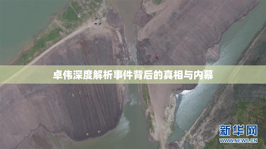 卓伟深度解析事件背后的真相与内幕