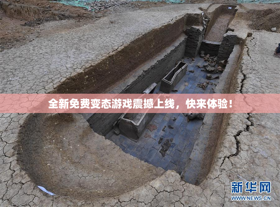 全新免费变态游戏震撼上线，快来体验！
