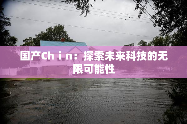国产Chⅰn：探索未来科技的无限可能性