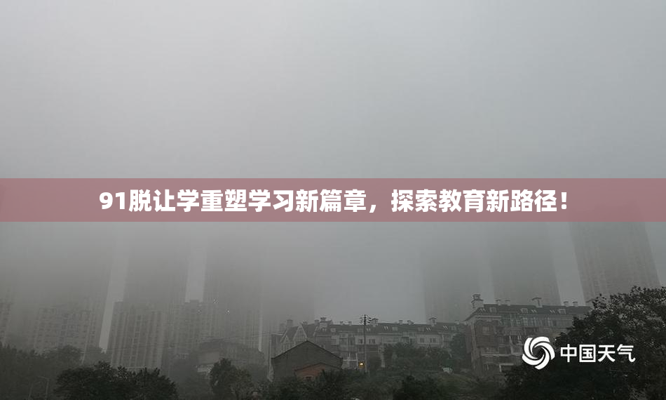 91脱让学重塑学习新篇章，探索教育新路径！