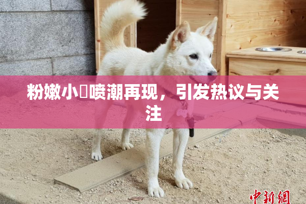 粉嫩小泬喷潮再现，引发热议与关注