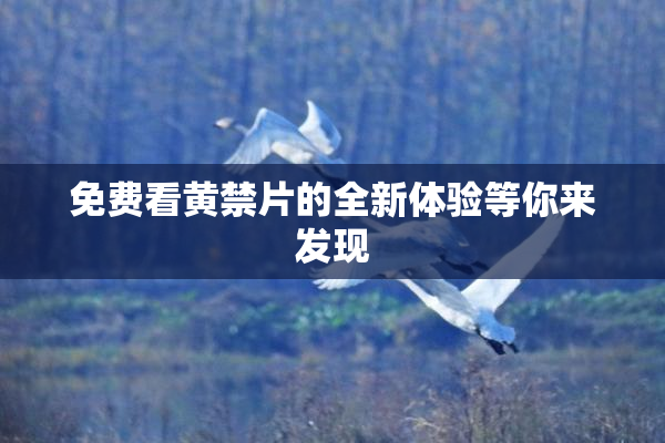 免费看黄禁片的全新体验等你来发现