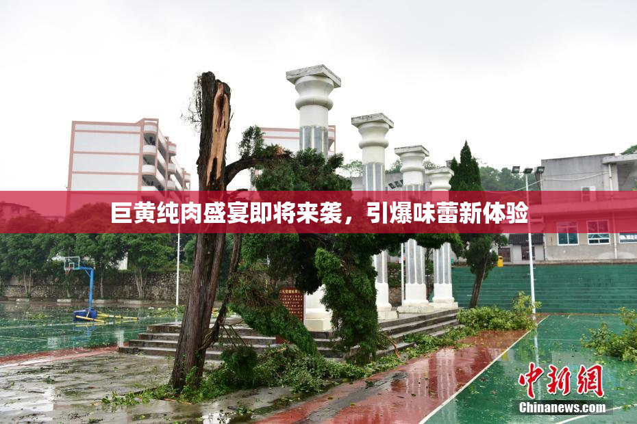 巨黄纯肉盛宴即将来袭，引爆味蕾新体验