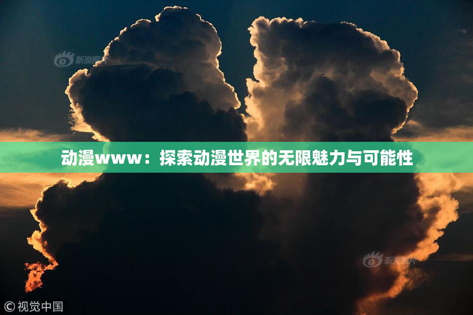 动漫www：探索动漫世界的无限魅力与可能性