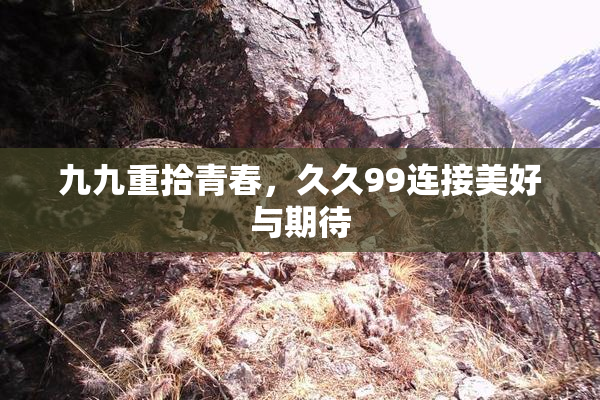 九九重拾青春，久久99连接美好与期待