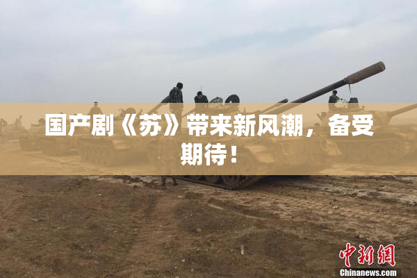 国产剧《苏》带来新风潮，备受期待！
