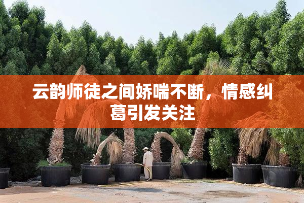云韵师徒之间娇喘不断，情感纠葛引发关注