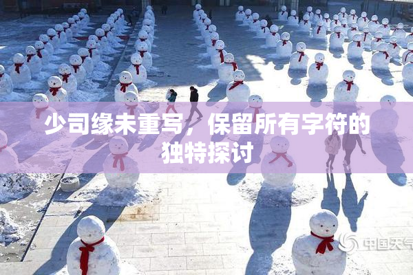 少司缘未重写，保留所有字符的独特探讨