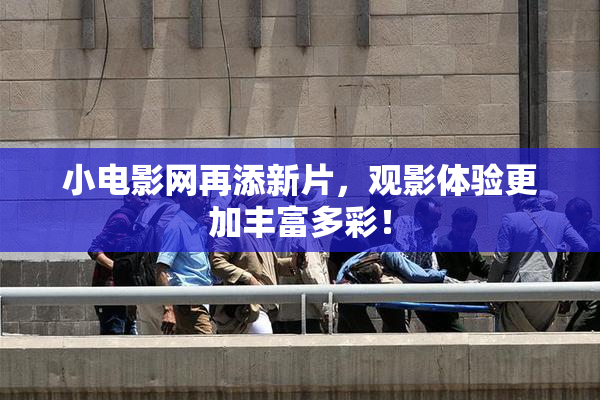 小电影网再添新片，观影体验更加丰富多彩！