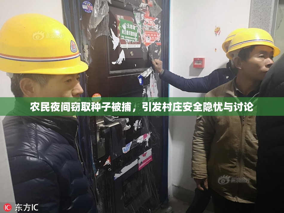 农民夜间窃取种子被捕，引发村庄安全隐忧与讨论