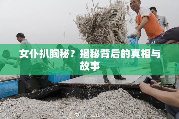 女仆扒胸秘？揭秘背后的真相与故事