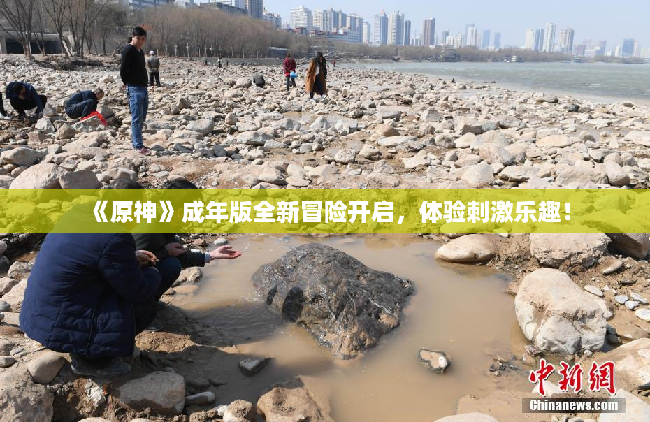 《原神》成年版全新冒险开启，体验刺激乐趣！