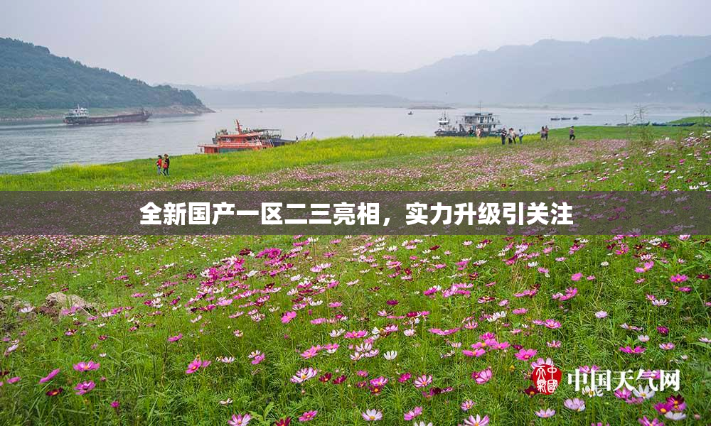 全新国产一区二三亮相，实力升级引关注