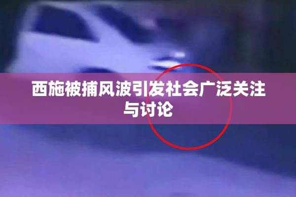 西施被捕风波引发社会广泛关注与讨论