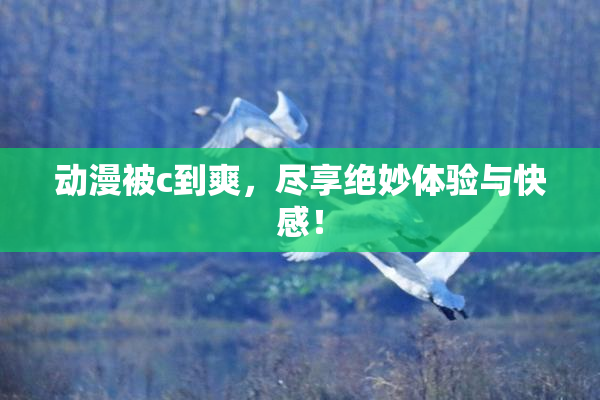 动漫被c到爽，尽享绝妙体验与快感！