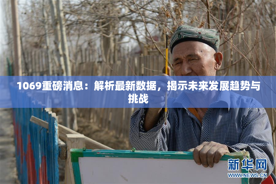 1069重磅消息：解析最新数据，揭示未来发展趋势与挑战