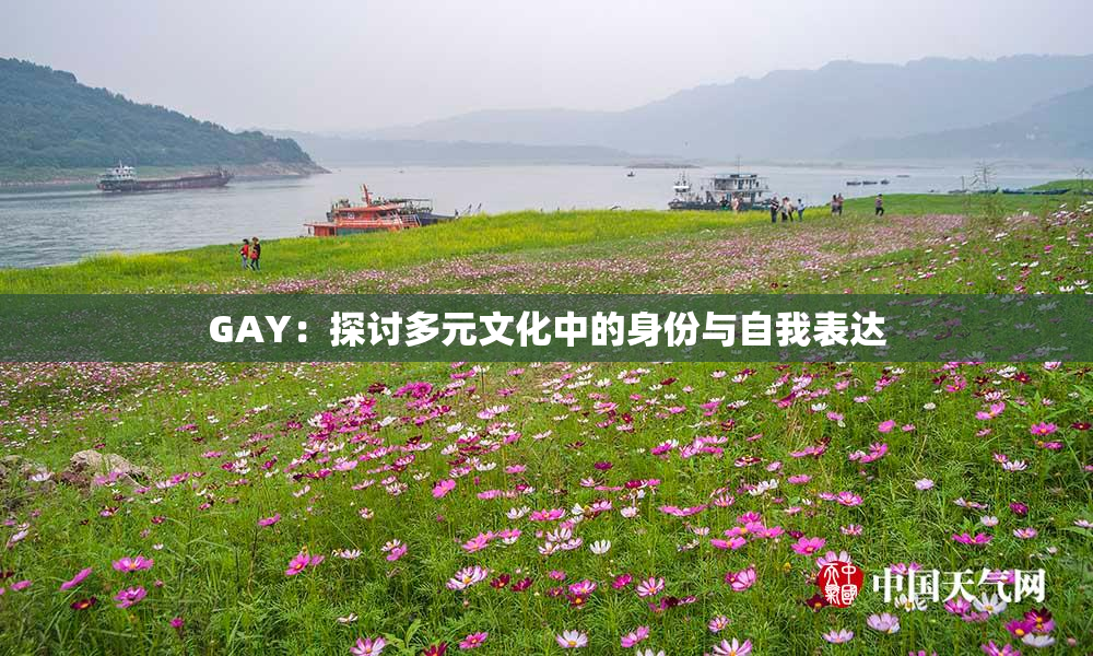 GAY：探讨多元文化中的身份与自我表达