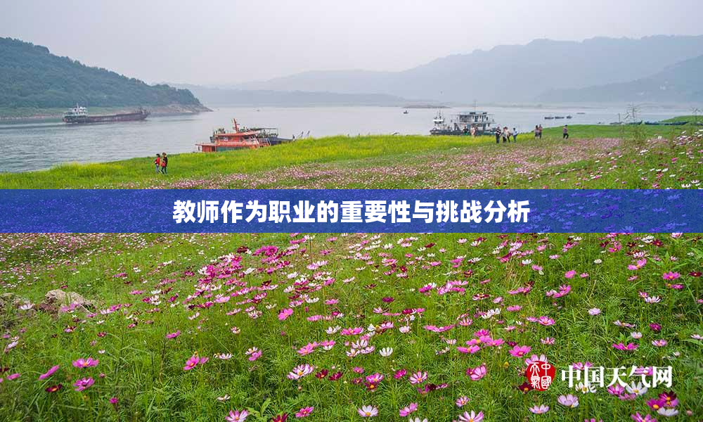 教师作为职业的重要性与挑战分析