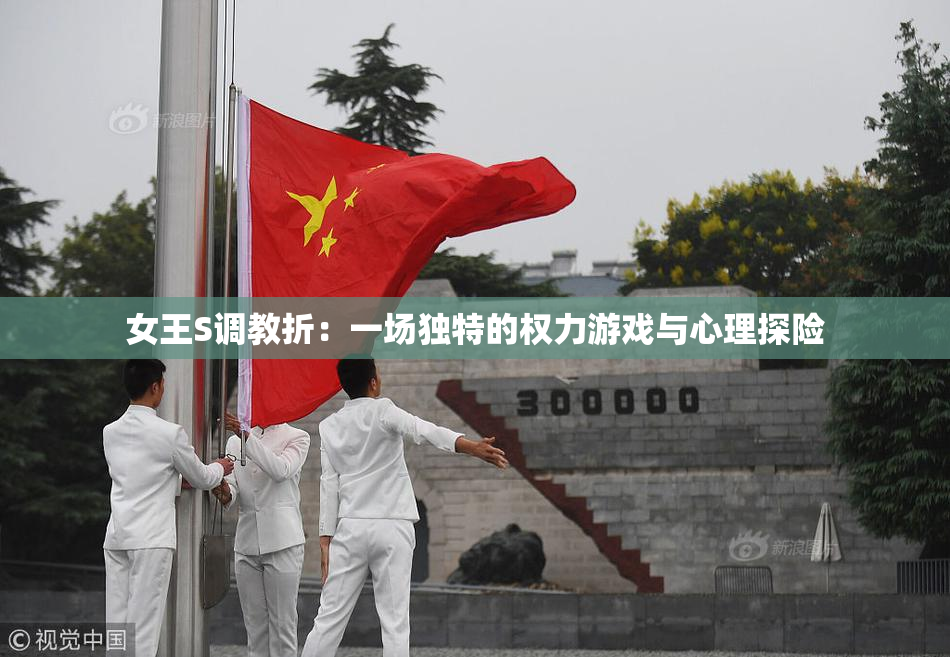 女王S调教折：一场独特的权力游戏与心理探险