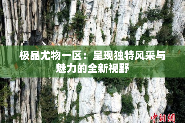 极品尤物一区：呈现独特风采与魅力的全新视野
