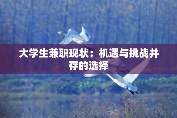 大学生兼职现状：机遇与挑战并存的选择
