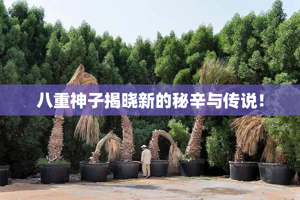 八重神子揭晓新的秘辛与传说！