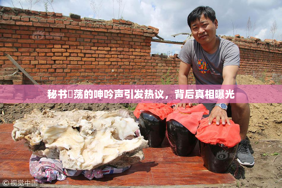 秘书婬荡的呻吟声引发热议，背后真相曝光