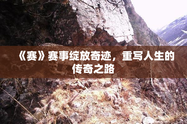 《赛》赛事绽放奇迹，重写人生的传奇之路