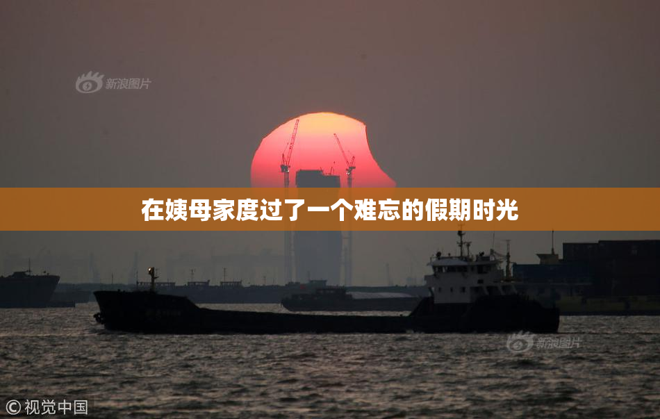 在姨母家度过了一个难忘的假期时光