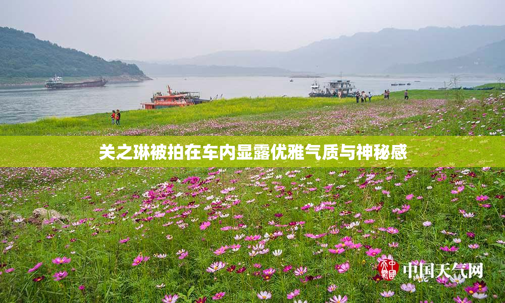 关之琳被拍在车内显露优雅气质与神秘感